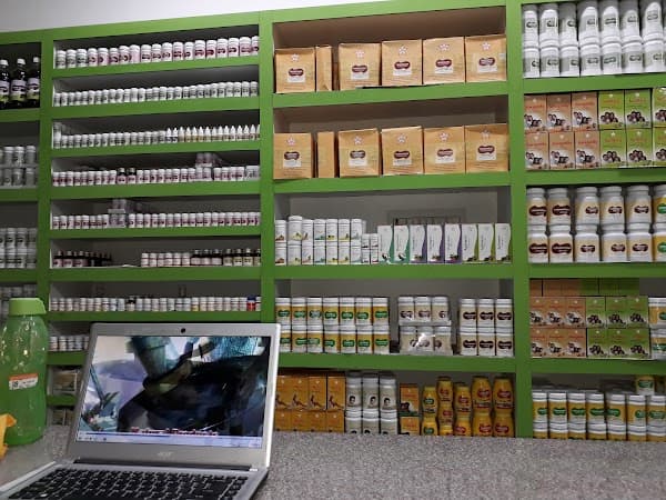Dr Siva Siddha Ayurvedaa Medicals and Clinic - Padma Ambulance Service Aminjikarai