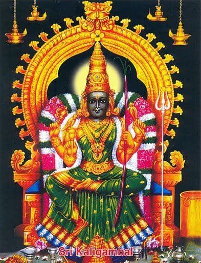 Sree Kalikambal Country Drugs & Pooja Items - Padma Ambulance Service Injambakkam